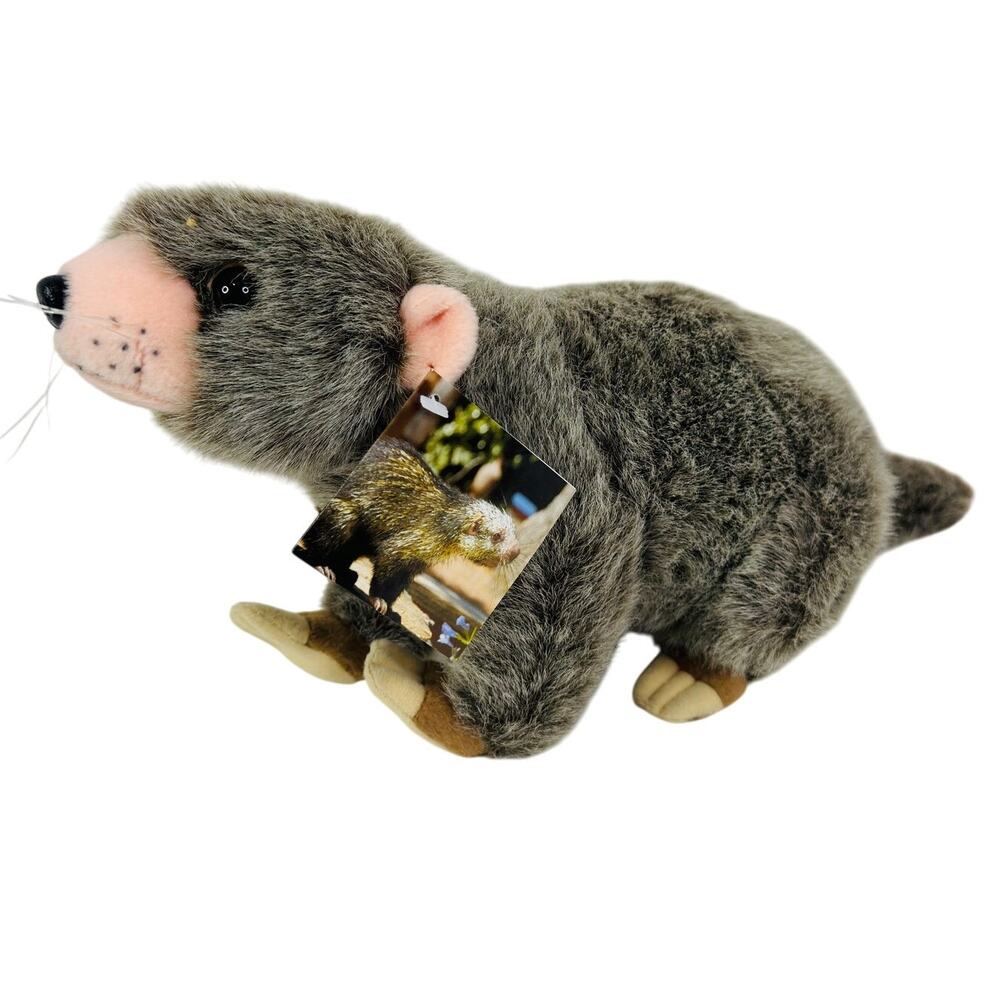 Six Flags Discovery Kingdom Cholla Porcupine 15" Stuffed‎ Animal Plush NWT